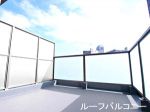 ۡʬߡ+