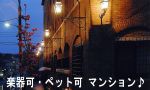  ۡʬߡ+
